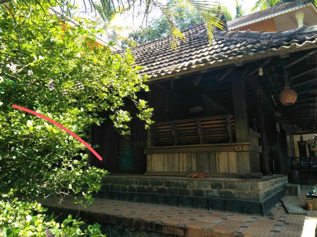 Thriphala Ayurveda Yogashram Apartment Thiruvananthapuram Exterior photo